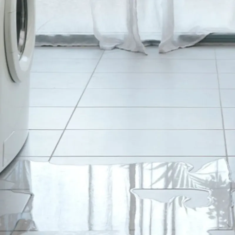 Appliance Leak Cleanup in Parlier, CA